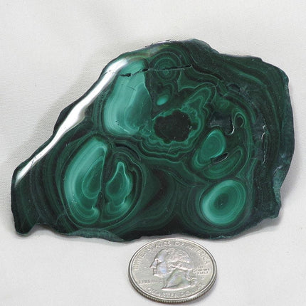 Polished Malachite Slice from Democratic Republic of the Congo