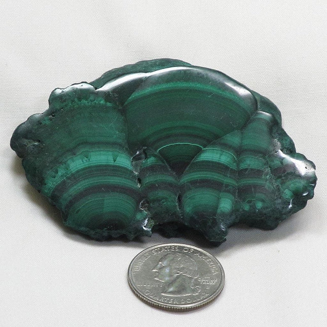 Polished Malachite Slice from Democratic Republic of the Congo