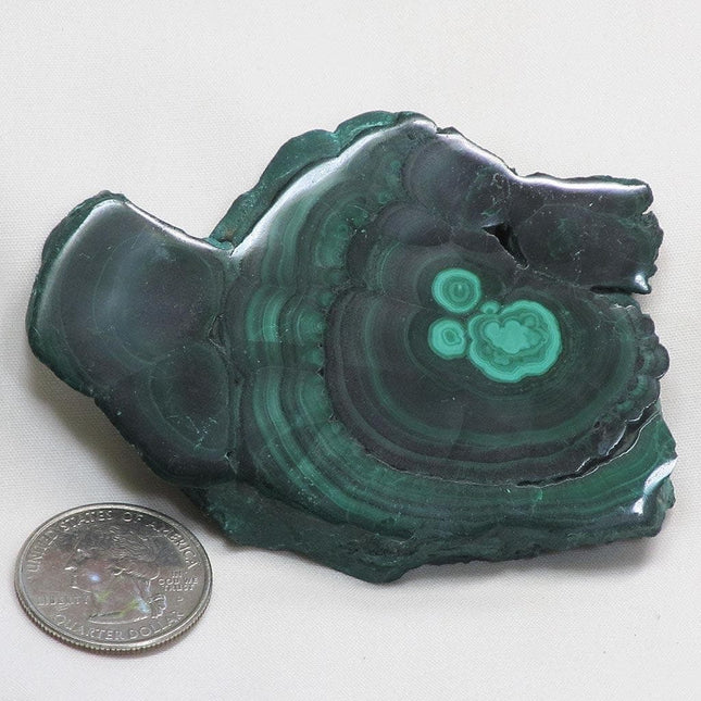 Polished Malachite Slice from Democratic Republic of the Congo
