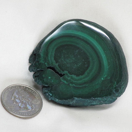Polished Malachite Slice from Democratic Republic of the Congo