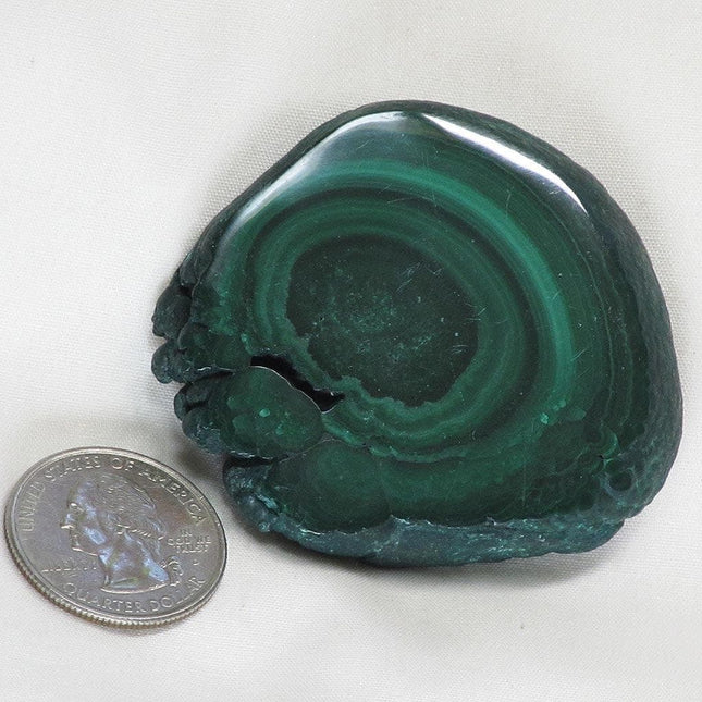 Polished Malachite Slice from Democratic Republic of the Congo