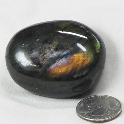 Polished Labradorite Palm Stone from Madagascar