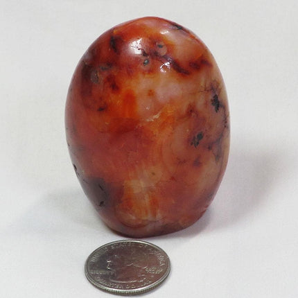 Polished Carnelian Agate Free Form from Madagascar