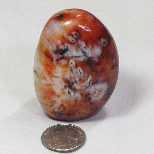 Polished Carnelian Agate Free Form from Madagascar