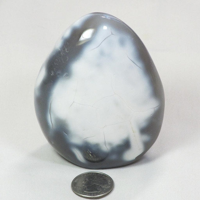 Polished Snow Blue Agate Free Form from Madagascar