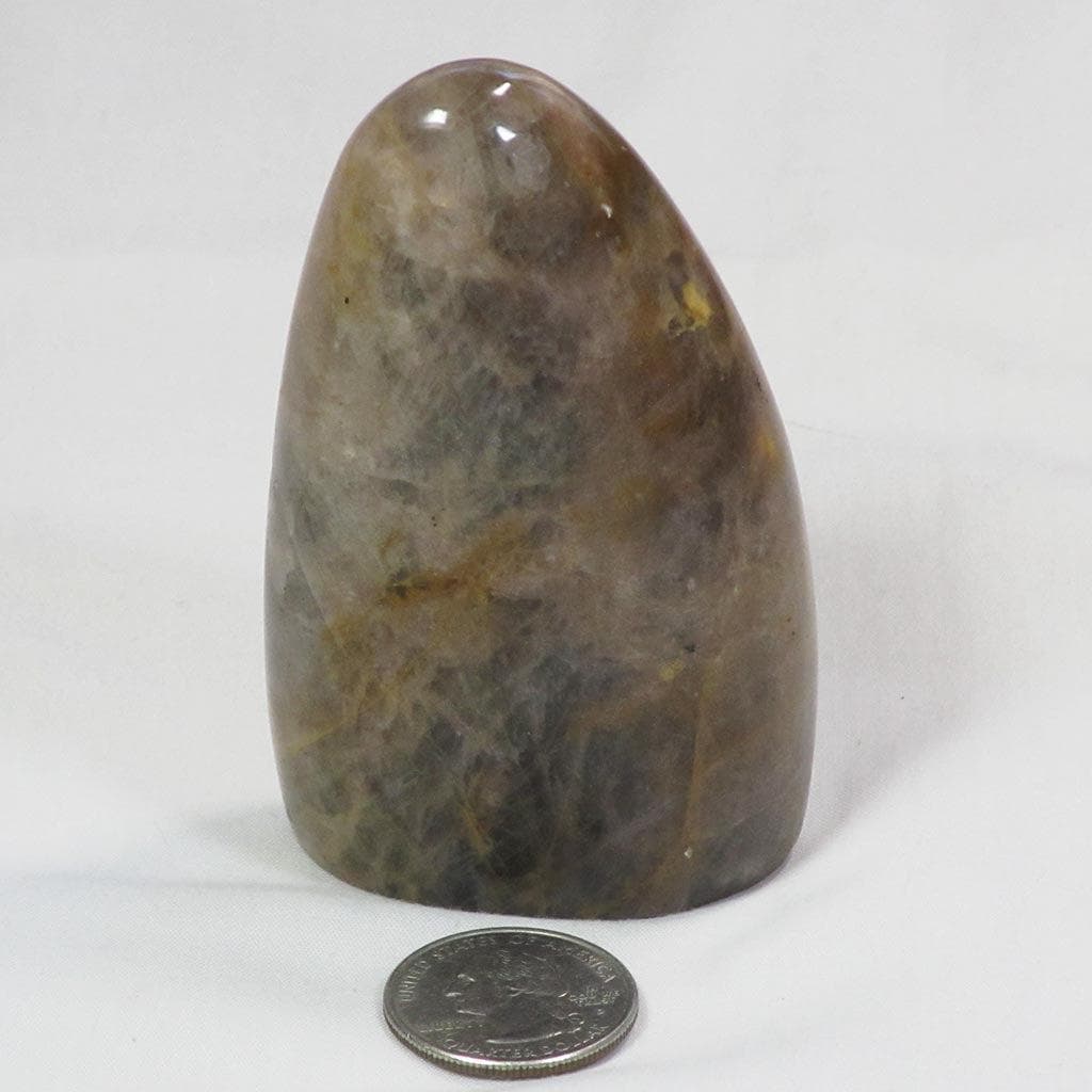 Polished Black Moonstone Free Form from Madagascar