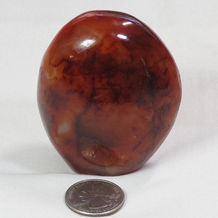 Polished Carnelian Agate Free Form from Madagascar
