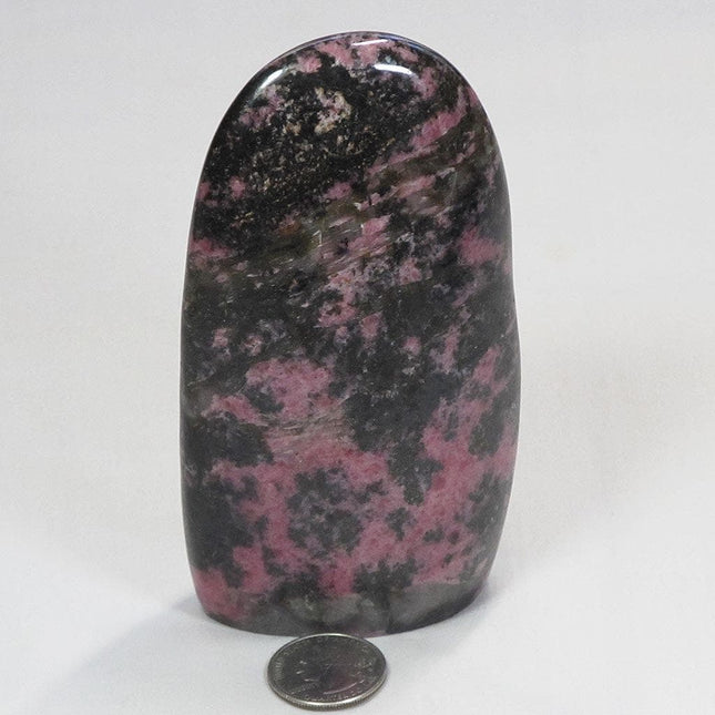 Polished Rhodonite Free Form from Madagascar