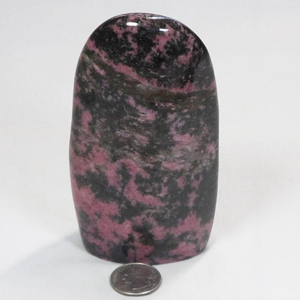 Polished Rhodonite Free Form from Madagascar