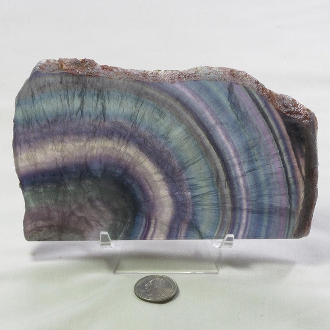 Polished Slice of Rainbow Fluorite with stand from China