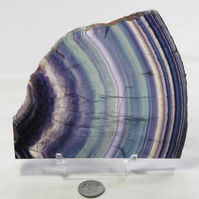 Polished Slice of Rainbow Fluorite with stand from China