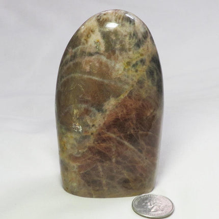 Polished Black Moonstone Free Form from Madagascar