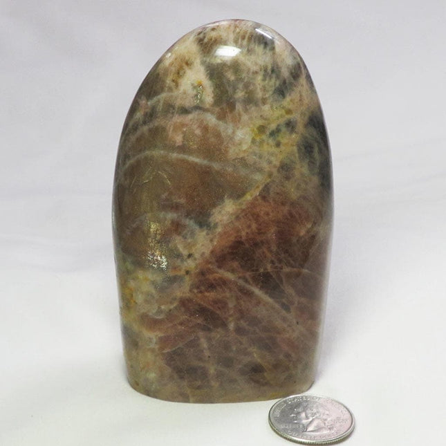 Polished Black Moonstone Free Form from Madagascar