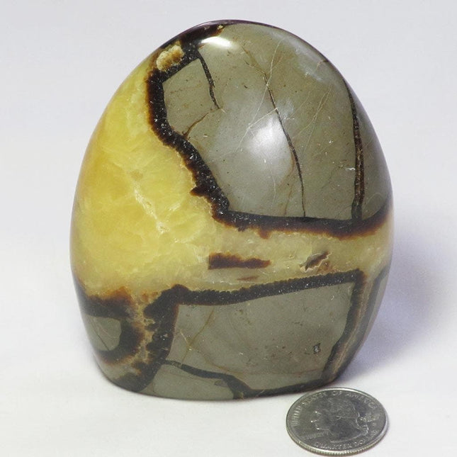 Polished Septarian Nodule Free Form from Madagascar