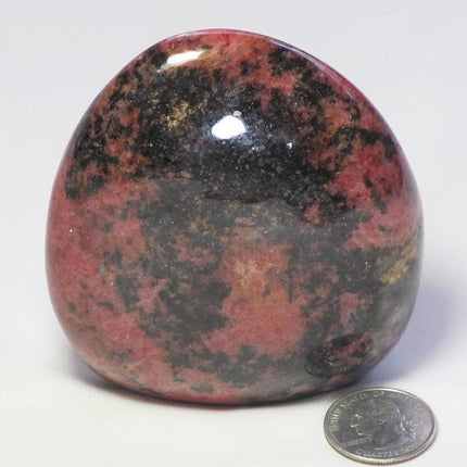 Polished Rhodonite Free Form from Madagascar