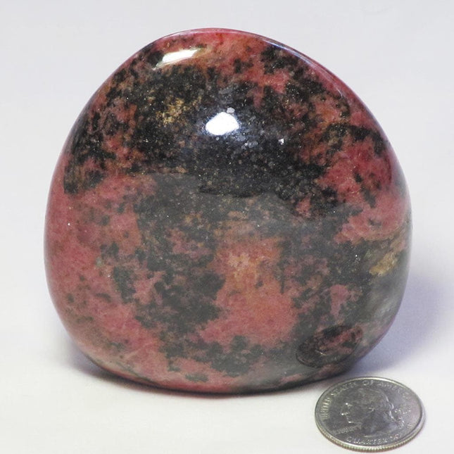 Polished Rhodonite Free Form from Madagascar