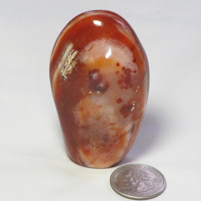 Polished Carnelian Agate Free Form from Madagascar