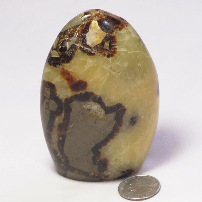 Polished Septarian Nodule Free Form from Madagascar