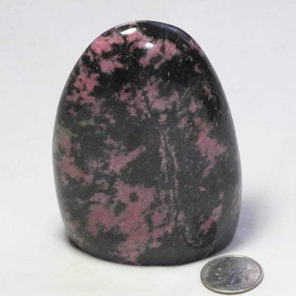 Polished Rhodonite Free Form from Madagascar