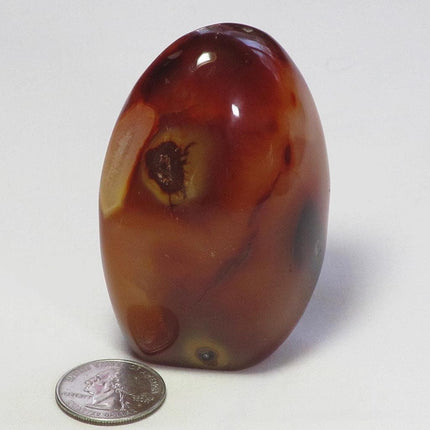 Polished Carnelian Agate Free Form from Madagascar
