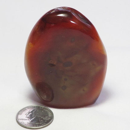 Polished Carnelian Agate Free Form from Madagascar