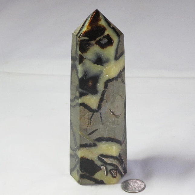 Large Polished Septarian Nodule Generator Point from Madagascar