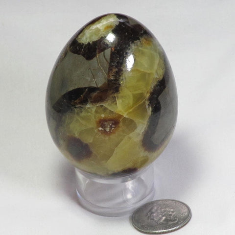 Polished Septarian Nodule Egg from Madagascar