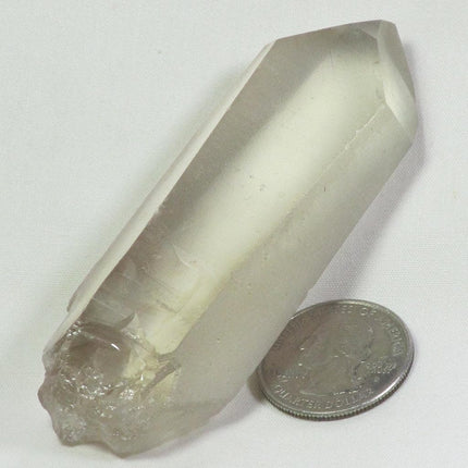 Smoky Lemurian Seed Quartz Crystal Point from Brazil