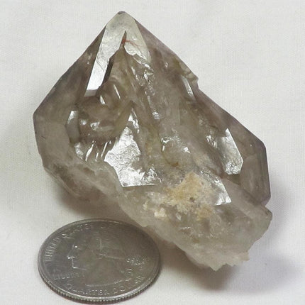 Smoky Quartz Crystal Elestial Sceptre Head from Brazil