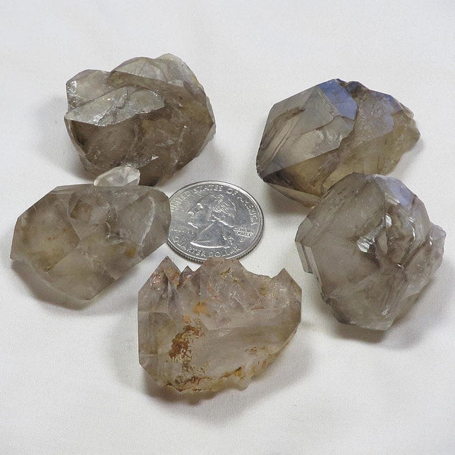 5 Smoky Quartz Crystal Elestial Sceptre Heads from Brazil