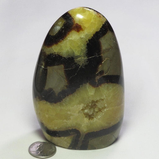 Polished Septarian Nodule Free Form from Madagascar