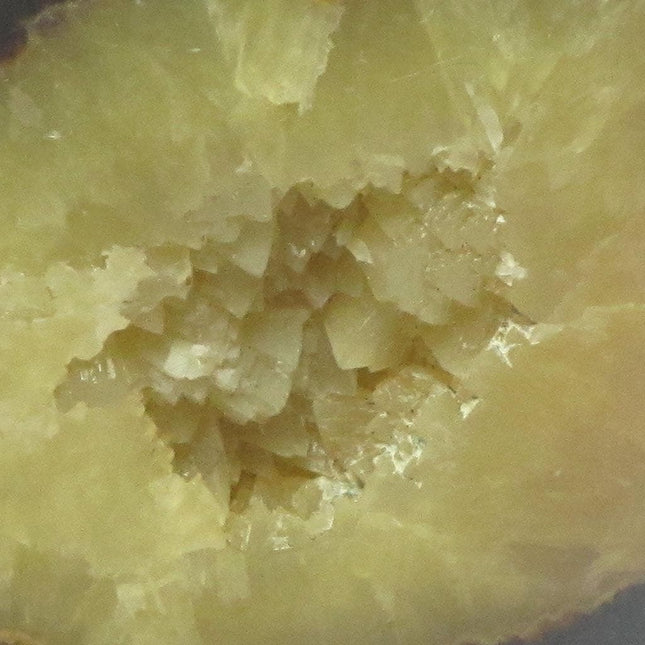 Polished Septarian Nodule Free Form from Madagascar