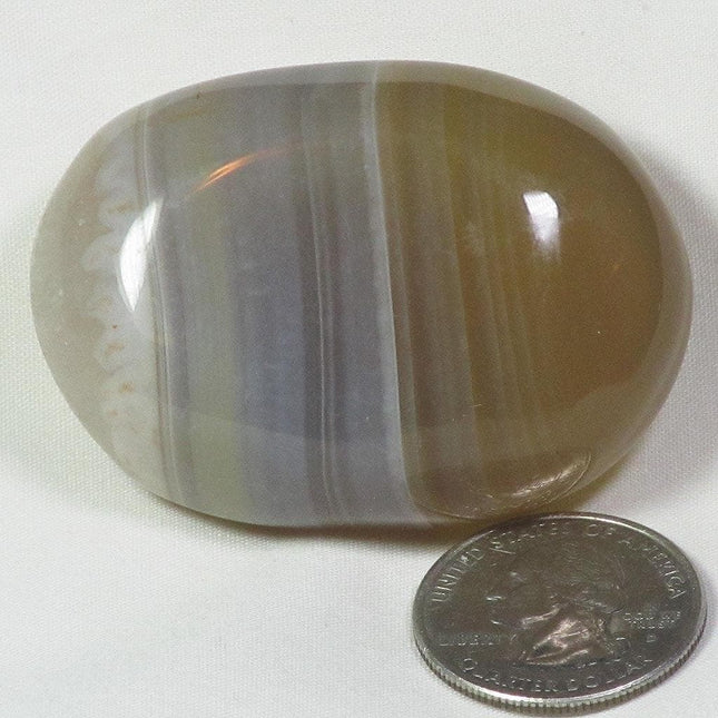 Polished Banded Agate Palm Stone from Madagascar