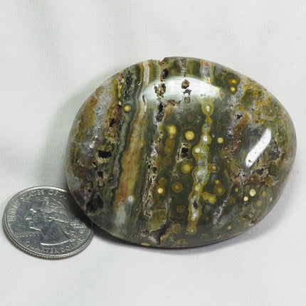 Polished Ocean Jasper Palm Stone from Madagascar
