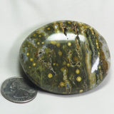 Polished Ocean Jasper Palm Stone from Madagascar