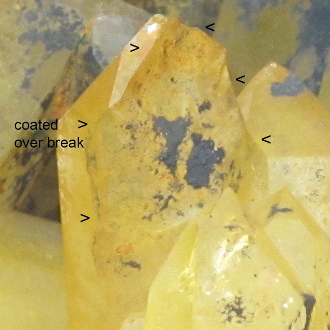 Arkansas Uncleaned Natural Aura Quartz Crystal Cluster w/Time-Links