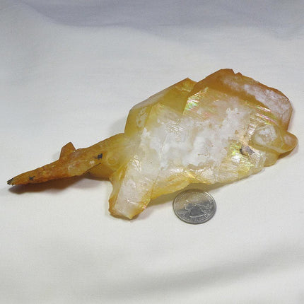 Arkansas Golden Healer Quartz Crystal Self-Healed Tabby Shard