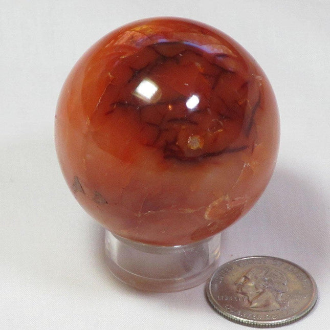 Polished Carnelian Agate Sphere Ball from Madagascar
