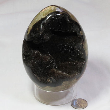 Polished Septarian Dragon Egg from Madagascar