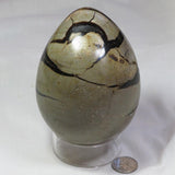 Polished Septarian Dragon Egg from Madagascar