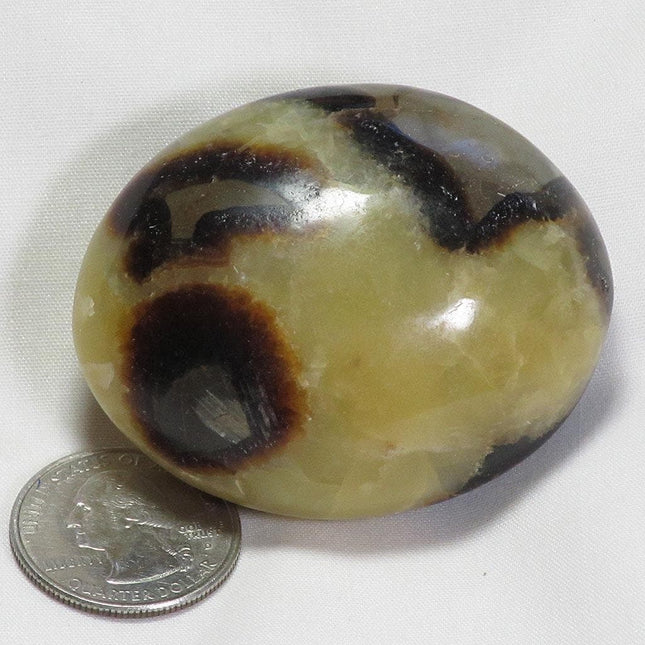Polished Septarian Nodule Palm Stone from Madagascar