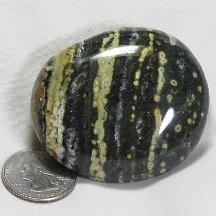Polished Ocean Jasper Palm Stone from Madagascar