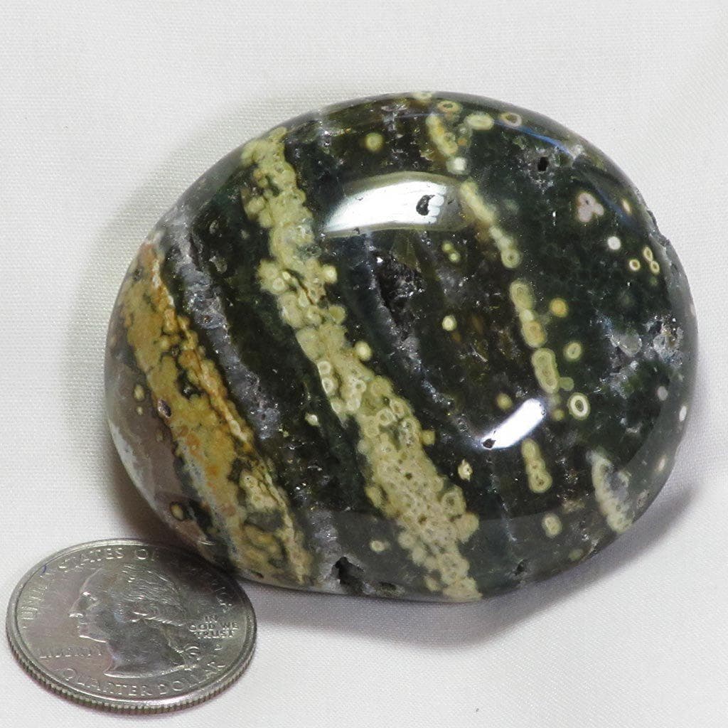 Polished Ocean Jasper Palm Stone from Madagascar