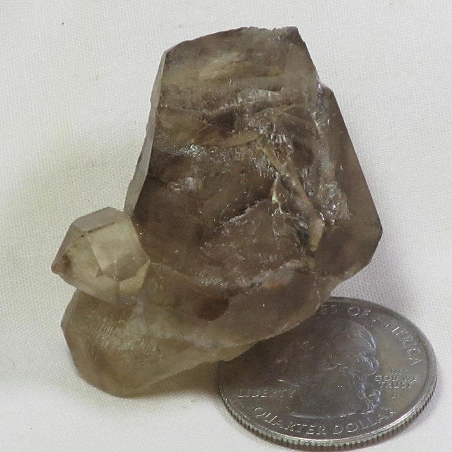 Smoky Quartz Elestial Sceptre Head from Brazil