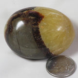 Polished Septarian Nodule Palm Stone from Madagascar