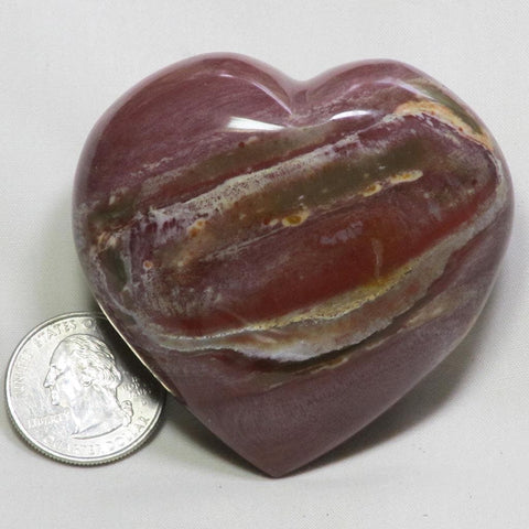 Polished Petrified Wood Heart from Madagascar