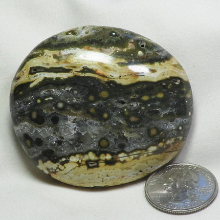 Polished Ocean Jasper Palm Stone from Madagascar