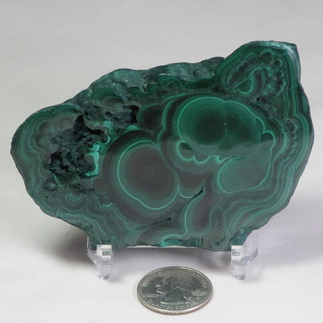 Polished Malachite Slice from the Congo