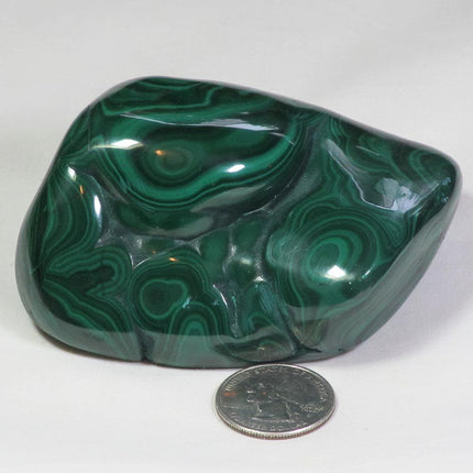 Polished Malachite Free Form from Congo