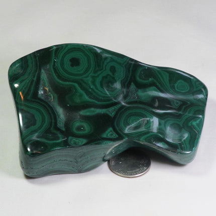 Polished Malachite Free Form from Congo